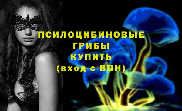 молекула духа Липки