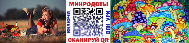 мориарти как зайти  Короча  Галлюциногенные грибы ЛСД 